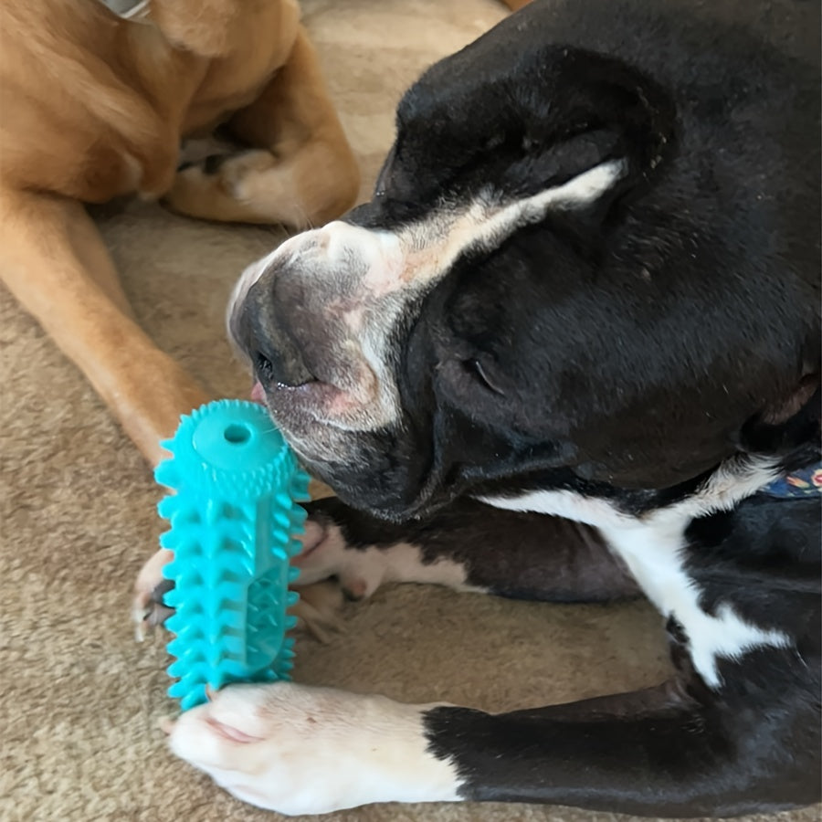 Squeaky Dental Chew Stick