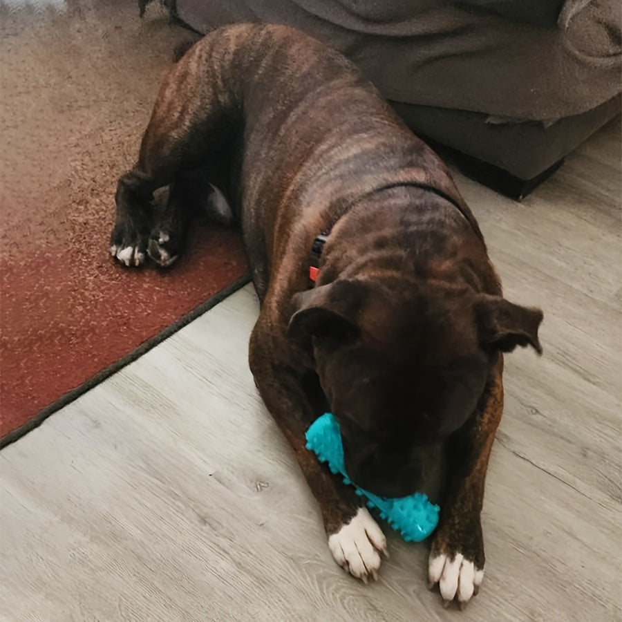 Squeaky Dental Chew Stick