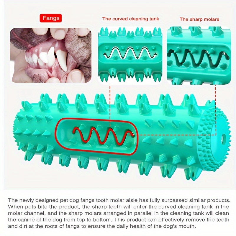 Squeaky Dental Chew Stick