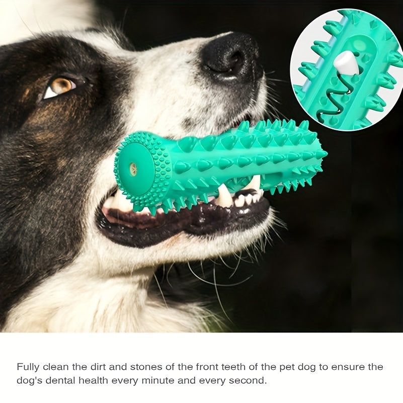 Squeaky Dental Chew Stick