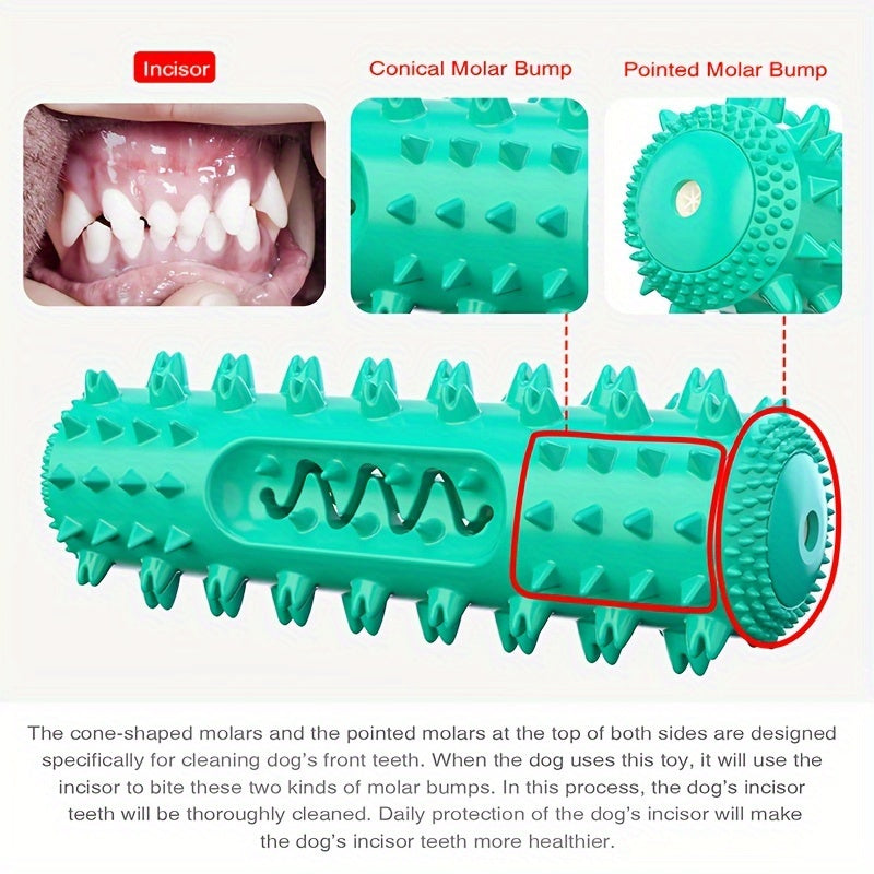 Squeaky Dental Chew Stick