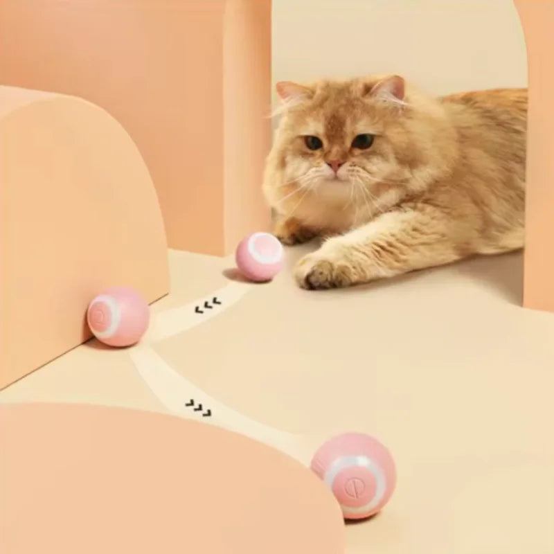 Smart Rolling Cat Toy