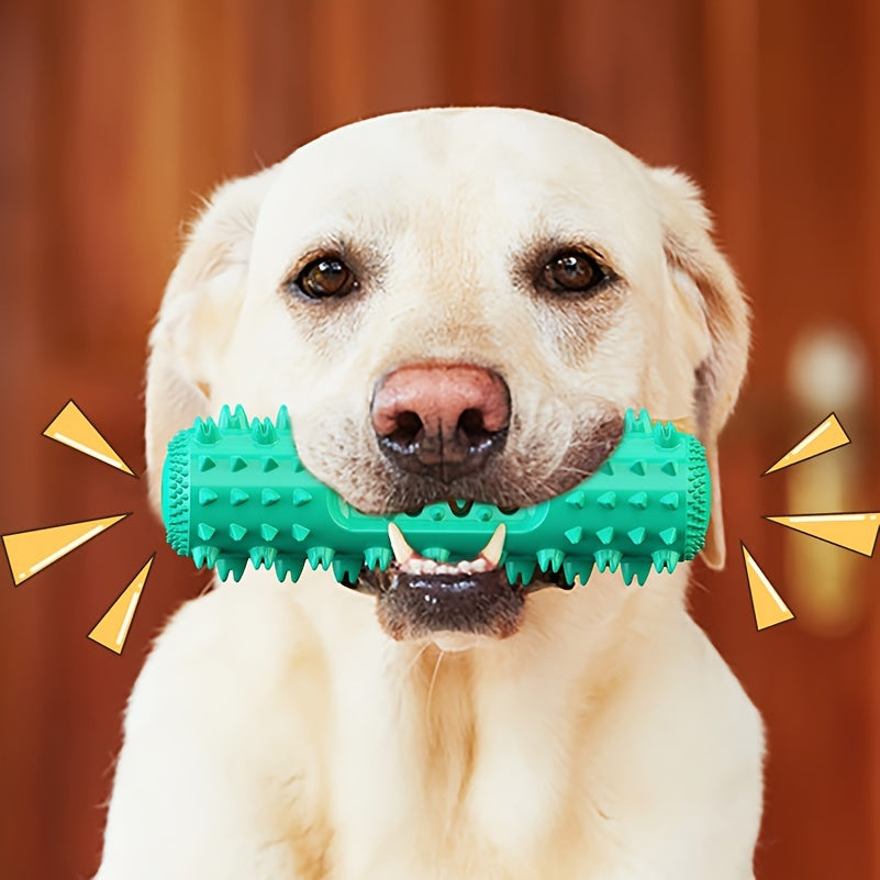 Squeaky Dental Chew Stick