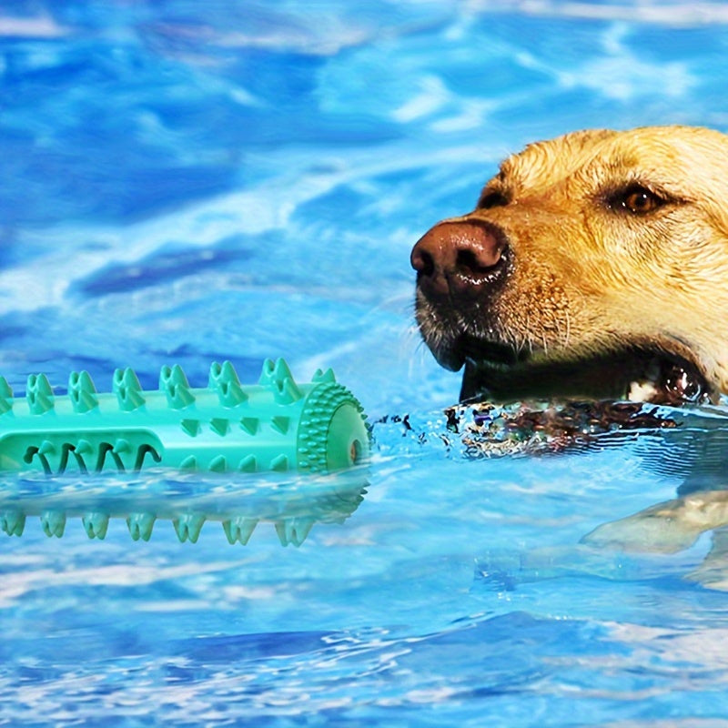 Squeaky Dental Chew Stick