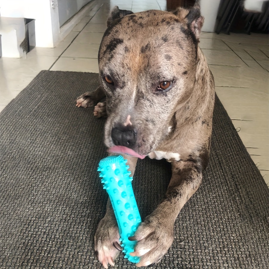 Squeaky Dental Chew Stick