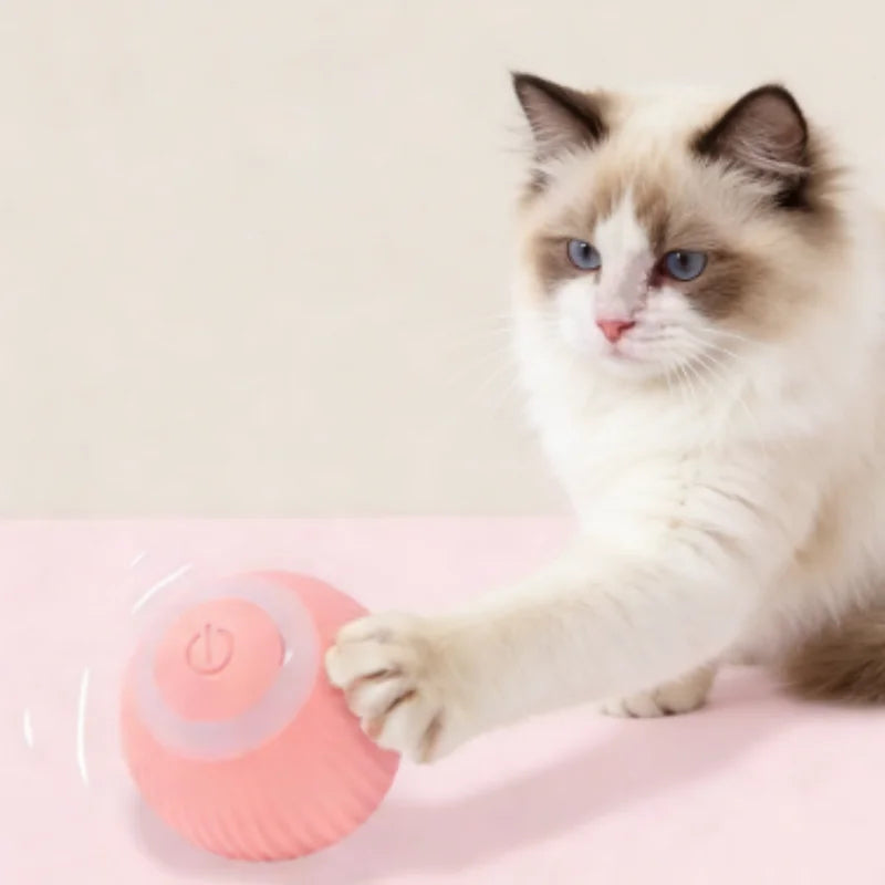 Smart Rolling Cat Toy