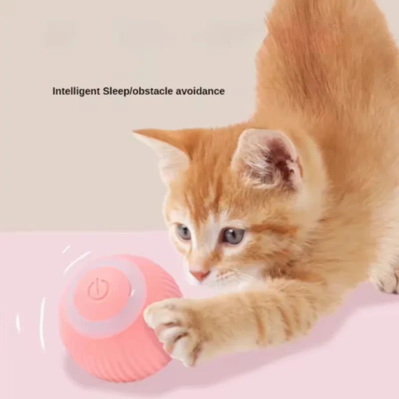 Smart Rolling Cat Toy