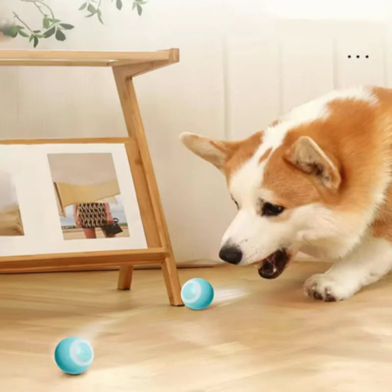 Smart Rolling Cat Toy