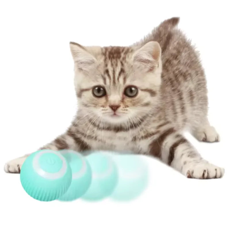 Smart Rolling Cat Toy