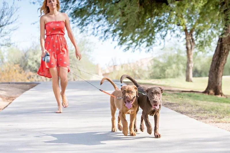 Dual-End Retractable Pet Leash