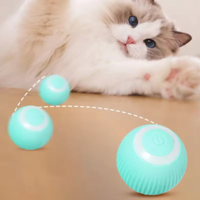 Smart Rolling Cat Toy