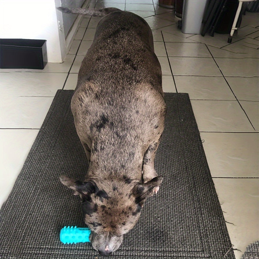 Squeaky Dental Chew Stick