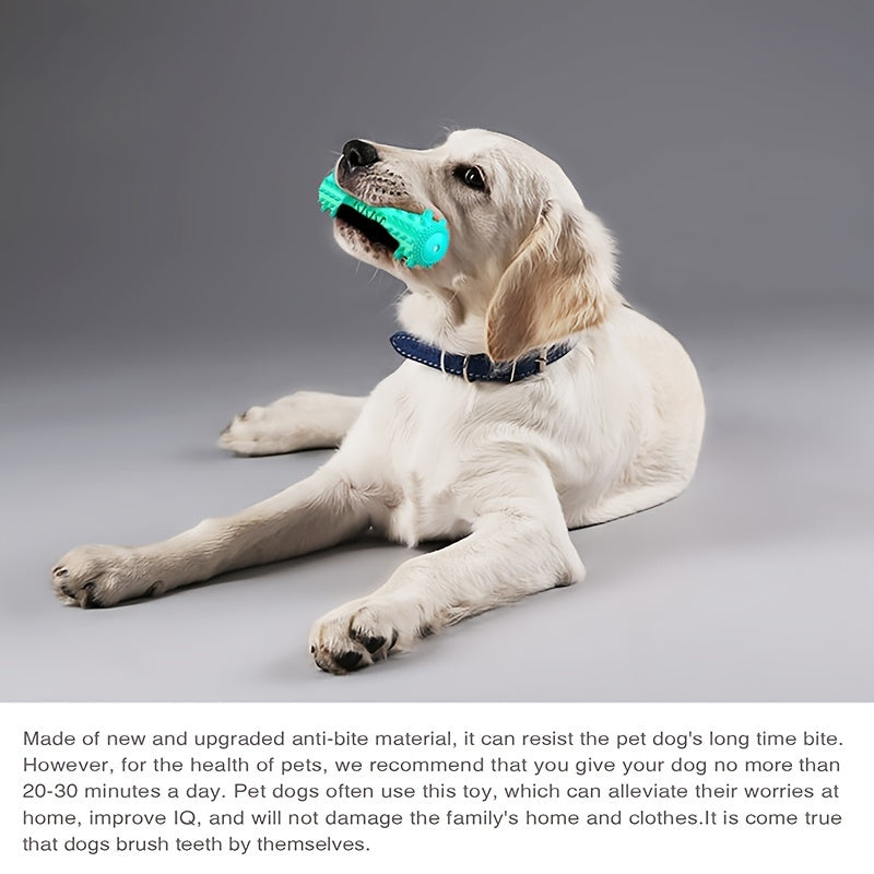 Squeaky Dental Chew Stick