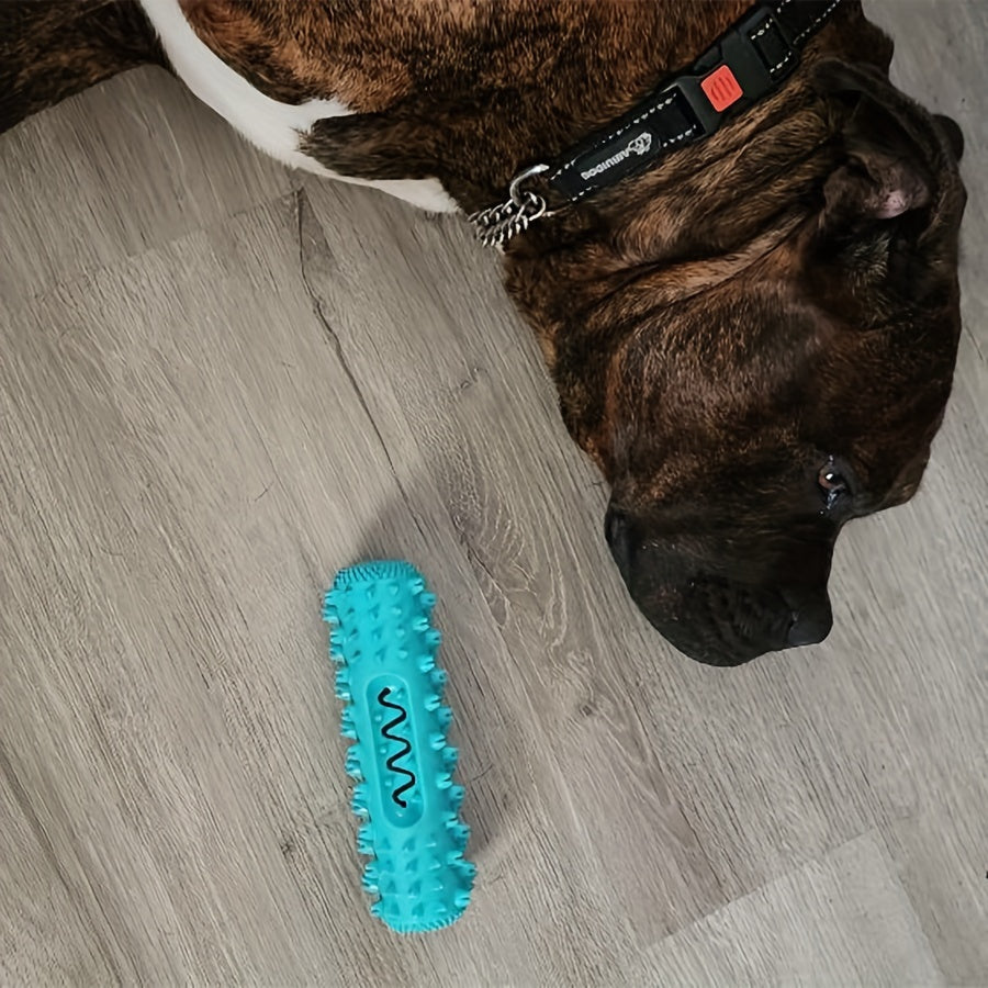 Squeaky Dental Chew Stick
